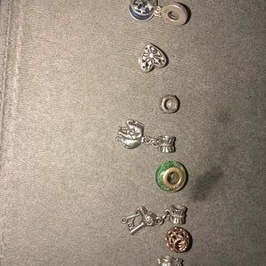 Pandora charms